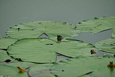 《赛博朋克2077》发售至今CD Projekt市值仅剩1＆4